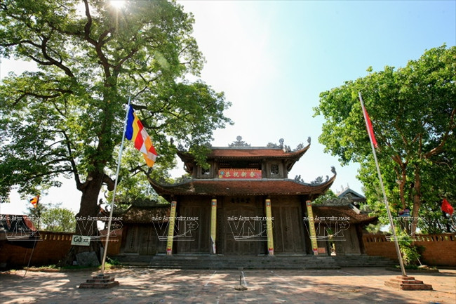 Thăm ngôi chùa có số lượng tượng đất cổ nhiều nhất Việt Nam ảnh 1