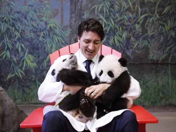 Thủ tướng Canada Justin Trudeau: Người đàn ông trong mơ ảnh 3