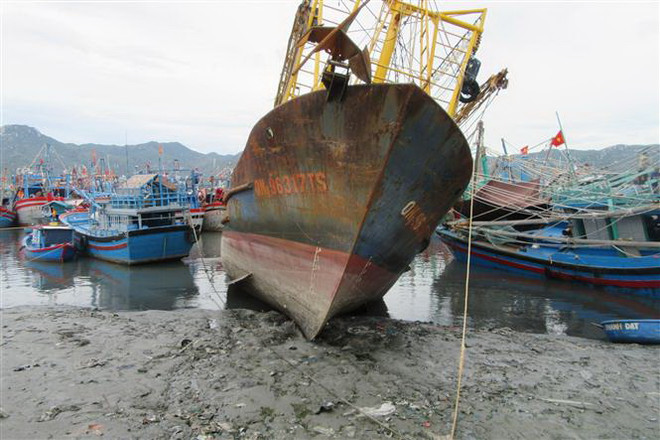 Cảng cá bị bồi lấp nghiêm trọng khiến ngư dân Ninh Thuận gặp khó ảnh 1