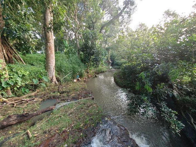 Bình Phước điều tra vụ thi thể người đàn ông đang phân hủy ảnh 1