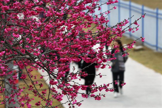 Trung Quốc tăng phòng dịch nghiêm ngặt tại các địa điểm du lịch ảnh 1