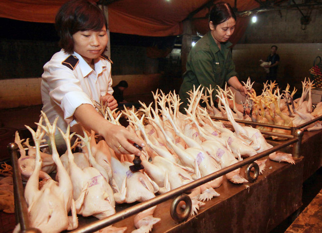 Hà Nội mới kiểm soát được 44% cơ sở giết mổ gia súc, gia cầm ảnh 1