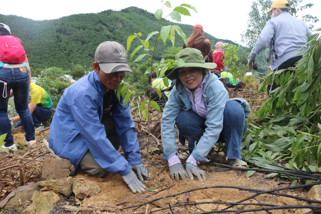 ttxvn-trong rung2.jpg