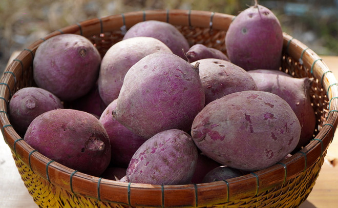 ttxvn-khoai lang.jpg