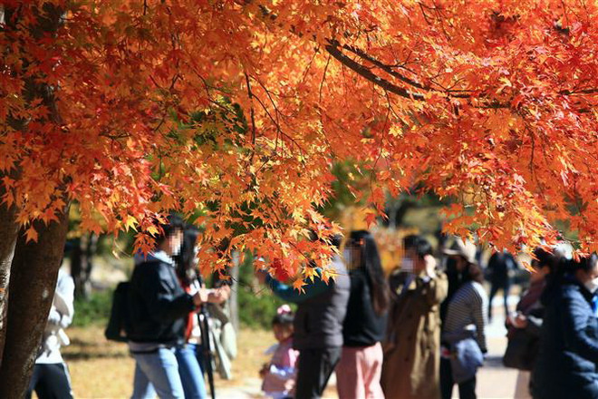 Hàn Quốc ra kế hoạch giãn cách mới, Bồ Đào Nha tái áp đặt phong tỏa ảnh 1