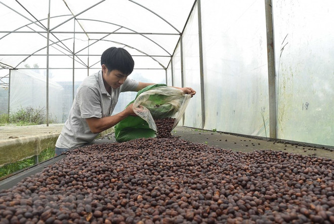 Giá gạo xuất khẩu của Việt Nam và các nông sản kỳ hạn của Mỹ đều tăng ảnh 2