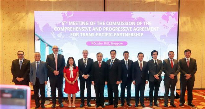 Việt Nam tham dự phiên họp lần thứ 6 Hội đồng CPTPP ảnh 1