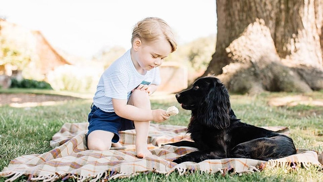 Danh sách kế vị ngai vàng Anh thay đổi sau tin vui của Công nương Kate ảnh 3