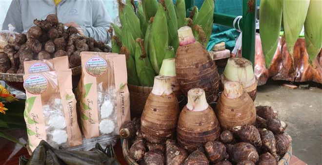 Ngày hội Khoai môn quảng bá nông sản chủ lực của Đồng Tháp ảnh 2