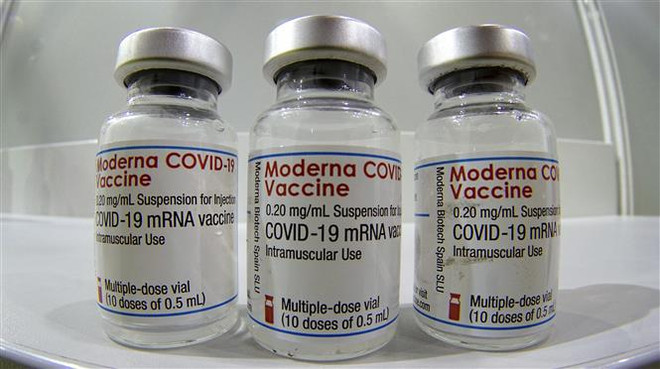 EU cho phép tiêm vaccine COVID-19 của Moderna cho trẻ vị thành niên ảnh 1