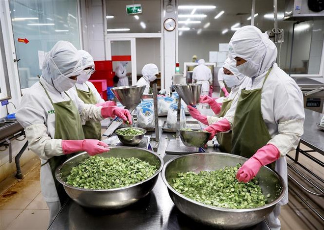 Xuất khẩu hàng hóa của Việt Nam đang gặp khó khăn do lạm phát cao ảnh 2