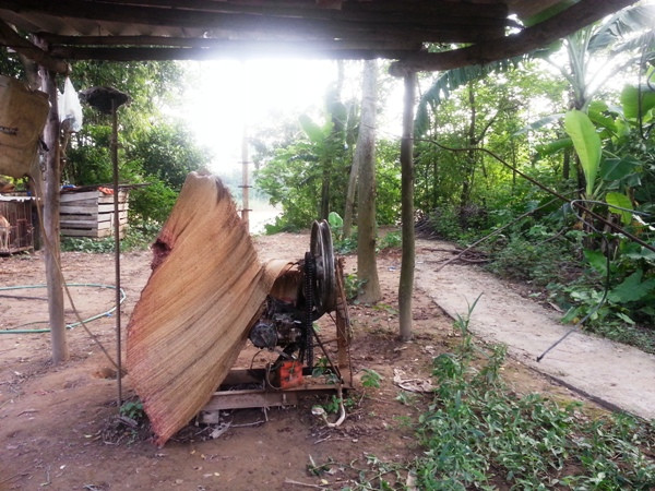 Thực hư chuyện cáp treo đưa người vượt sông tại Đông Anh ảnh 1