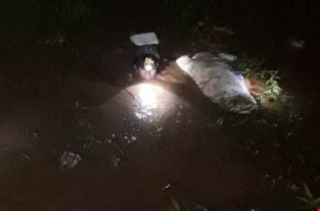 Bình Phước: Huy động 100 người tìm kiếm bé trai nghi bị nước cuốn trôi ảnh 1