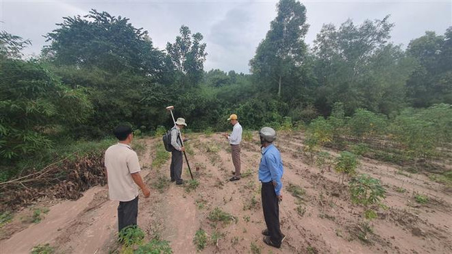 Ba trục động lực đưa Bà Rịa-Vũng Tàu phát triển năng động và bền vững ảnh 2