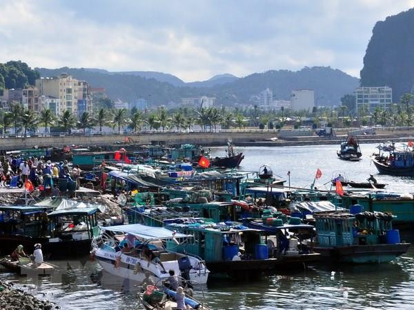 [Video] Bão số 4 có thể đi vào đất liền từ Thanh Hóa đến Quảng Bình ảnh 1