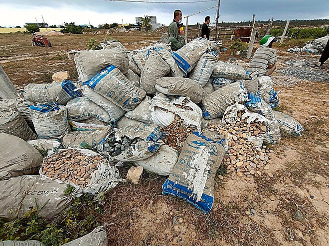 Bình Thuận: Ngăn chặn vụ trộm đá 7 màu lớn nhất từ trước tới nay ảnh 1