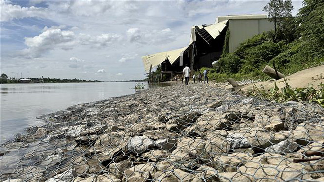 Tin nhà thầu chậm xử lý khẩn cấp sạt lở bờ sông Hậu là không chính xác ảnh 2