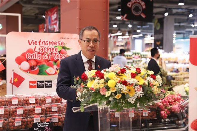 Nỗ lực quảng bá trái cây Việt Nam tại thị trường Thái Lan ảnh 2
