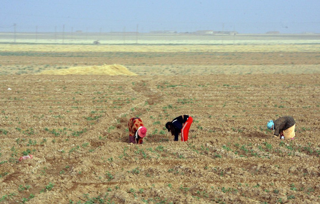 Syria chính thức ký Hiệp định Paris về chống biến đổi khí hậu ảnh 1