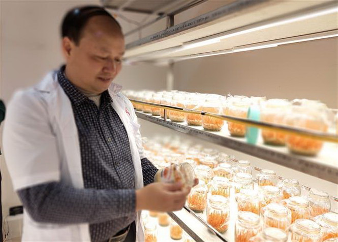 Australia tăng hỗ trợ Việt Nam phát triển nông nghiệp công nghệ cao ảnh 2