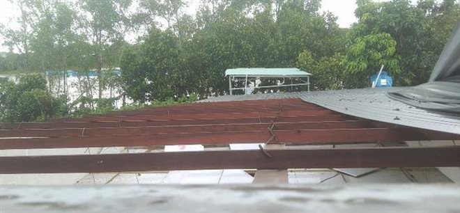 Tỉnh Cà Mau chịu thiệt hại khoảng 20 tỷ đồng do thiên tai ảnh 1