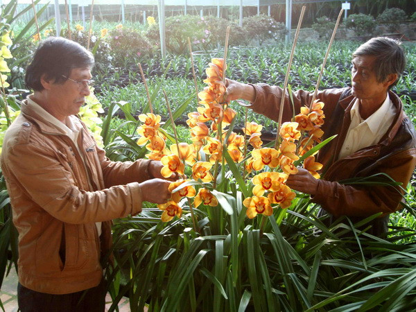 Ra mắt Quỹ hỗ trợ nông dân Đà Lạt trồng hoa xuất khẩu ảnh 1