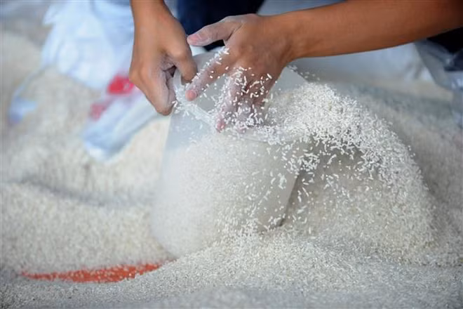 Tổng thống Indonesia chỉ đạo nhập khẩu 1 triệu tấn gạo từ Trung Quốc ảnh 1
