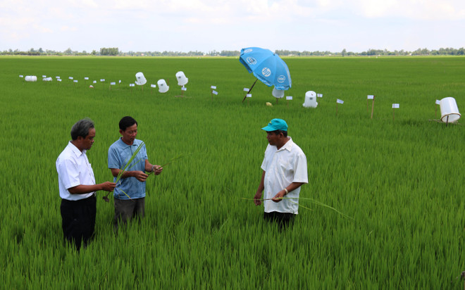 Việt Nam cam kết giảm 8% lượng phát thải khí nhà kính vào 2030 ảnh 1