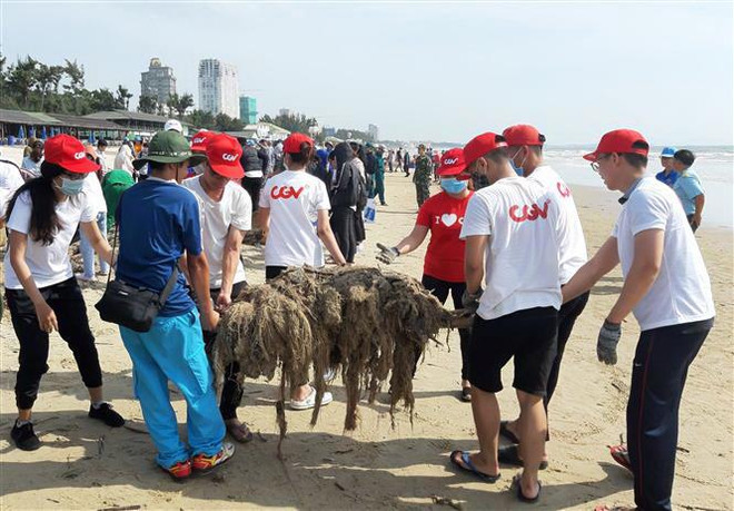 Gần 1.000 người tình nguyện thu gom rác thải tại bãi biển Vũng Tàu ảnh 1