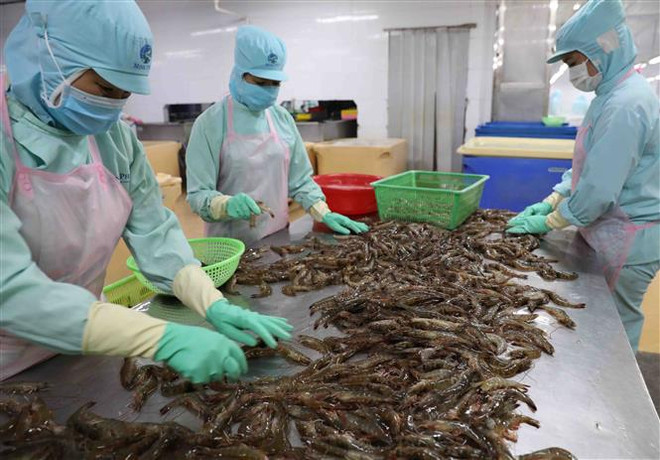 Giá trị xuất siêu nông, lâm, thủy sản tăng gần 87% trong 2 tháng ảnh 1