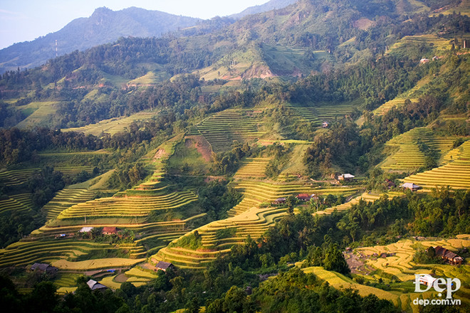 Bạn đã sẵn sàng cho mênh mang mùa vàng Hoàng Su Phì? ảnh 2