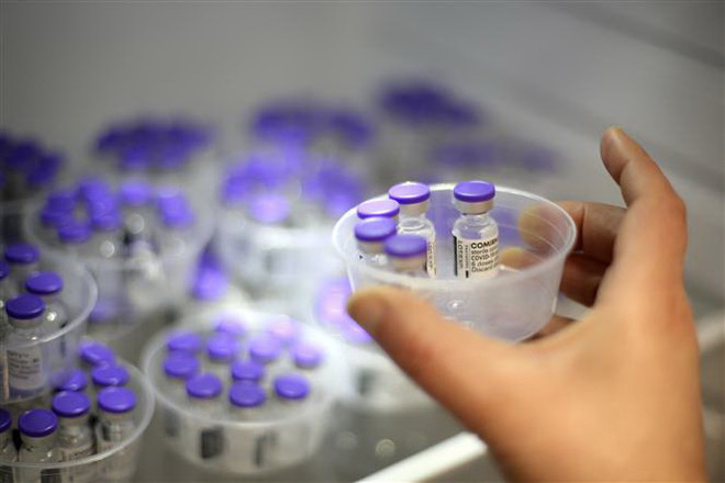 Vaccine phòng COVID-19. (Ảnh: THX/TTXVN) Các nước thành viên APEC cùng hành động vượt qua thách thức ảnh 1