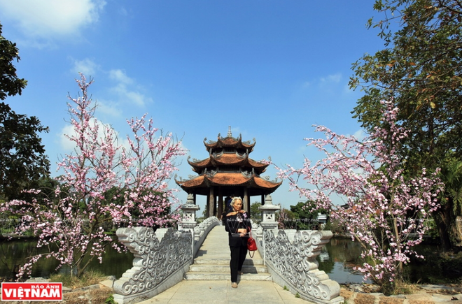 Linh thông cổ tự - ngôi chùa có nhiều chuyện huyền tích linh thiêng ảnh 14