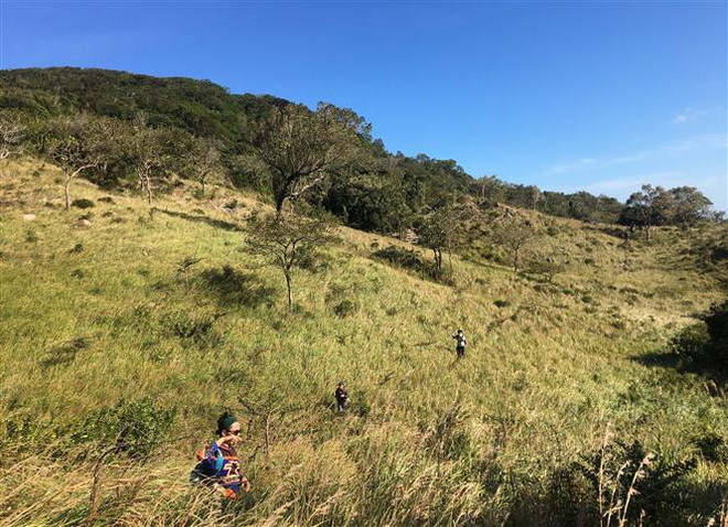 Ninh Thuận đón bằng công nhận Khu Dự trữ Sinh quyển Thế giới Núi Chúa ảnh 2