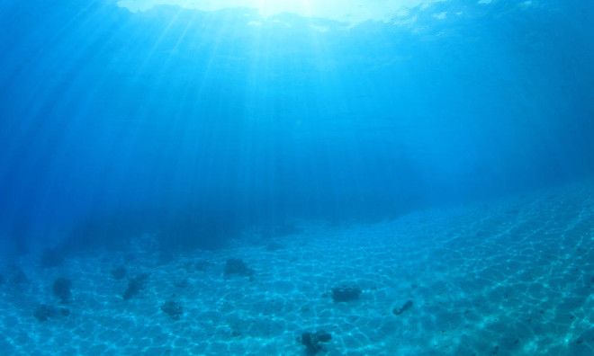 Sử dụng robot tìm hiểu nguồn khoáng sản dưới đáy đại dương ảnh 1