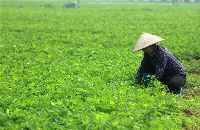 Sẽ có các gói hỗ trợ trước mắt cho nhiều nhóm đối tượng khó khăn ảnh 2