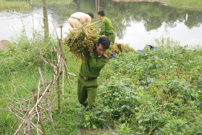 Hơn 400 cảnh sát, quân nhân lội nước “cứu” lúa giúp dân ảnh 6