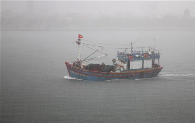 [Video] Đã cứu được 5 trong số 7 thuyền viên tàu cá bị chìm ảnh 1