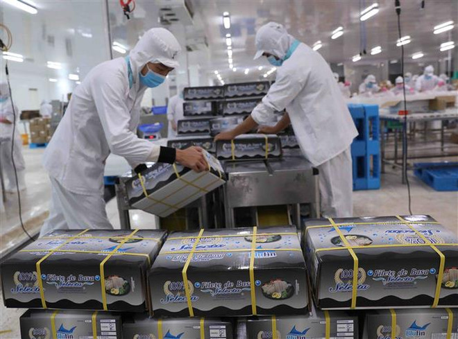 Tận dụng lợi thế hiệp định EVFTA thúc đẩy thương mại Việt Nam-Đức ảnh 3