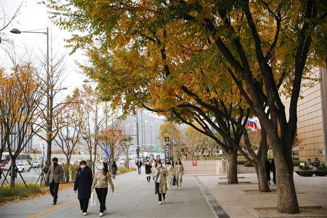 Omicron cản trở kế hoạch về cuộc sống bình thường mới của Hàn Quốc ảnh 1