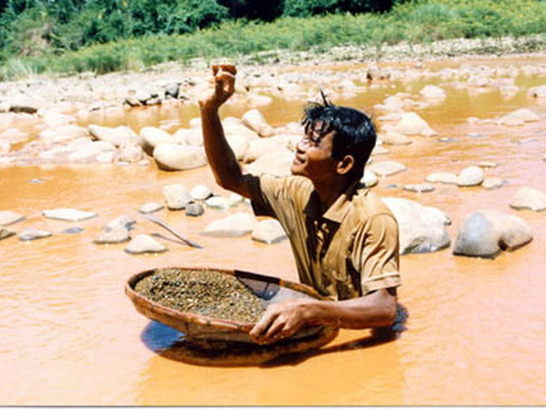 WHO: 1,4 tỷ người Đông Nam Á đứng trước nguy cơ bị sốt rét ảnh 1