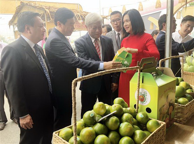 Tuần hàng đặc sản Đồng Tháp tại Thành phố Hồ Chí Minh năm 2019 giới thiệu đa dạng sản phẩm nông sản tươi sống, sản phẩm chế biến, hàng thủ công mỹ nghệ… (Ảnh: Mỹ Phương/TTXVN) Giới thiệu nhiều mặt hàng đặc sản Đồng Tháp tại Thành phố Hồ Chí Minh ảnh 1