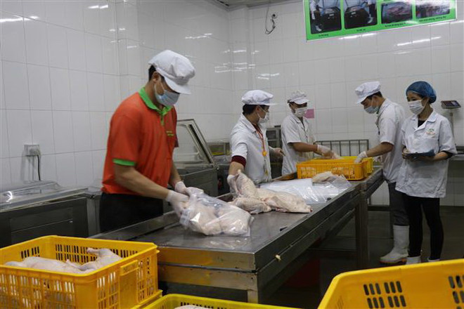 Việt Nam là thị trường thực phẩm đồ uống tiềm năng nhất khu vực ảnh 2