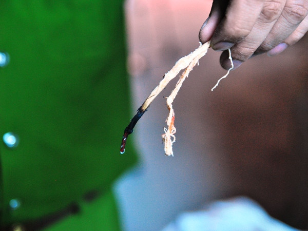 [Photo] Cận cảnh gần 2 tấn mực khô nghi trộn cao su bị bắt giữ ảnh 5