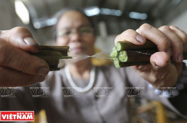Những tấm lụa làm từ tơ sen độc đáo của nghệ nhân Phan Thị Thuận ảnh 3