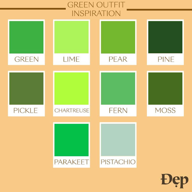 Những gợi ý phối đồ màu xanh lá cây không bao giờ lỗi thời ảnh 1
