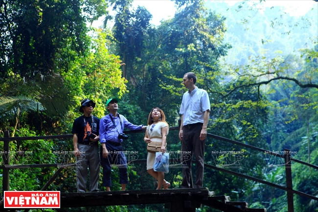 Khám phá vẻ đẹp hùng vĩ, thơ mộng và bí ẩn của Pù Mát ảnh 12