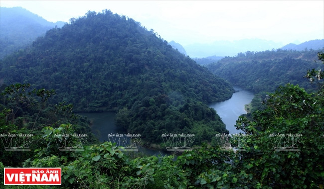 Khám phá vẻ đẹp hùng vĩ, thơ mộng và bí ẩn của Pù Mát ảnh 6