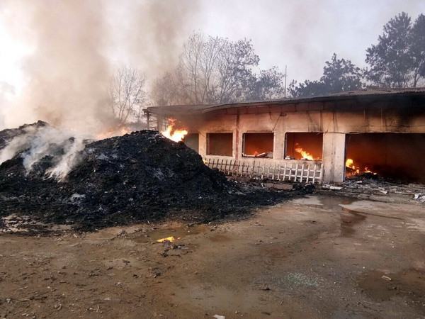 Cháy lớn tại xưởng chứa phế liệu rộng hơn 2ha thiêu rụi nhiều tài sản ảnh 3