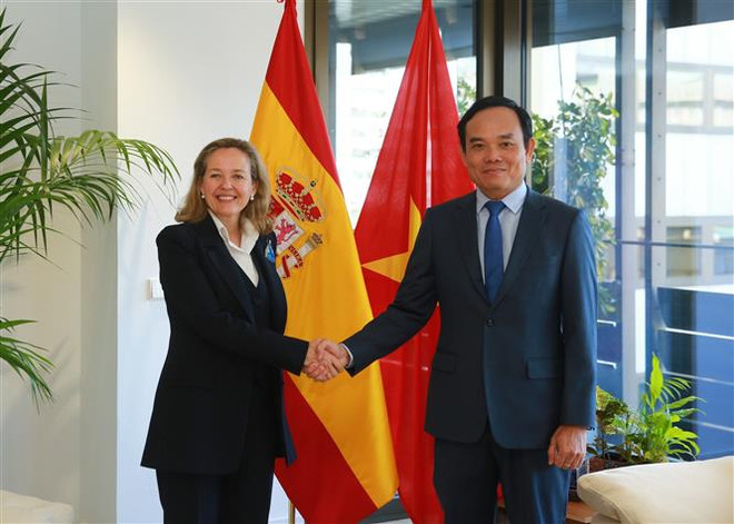 Phó Thủ tướng Trần Lưu Quang hội đàm với người đồng cấp Tây Ban Nha ảnh 1